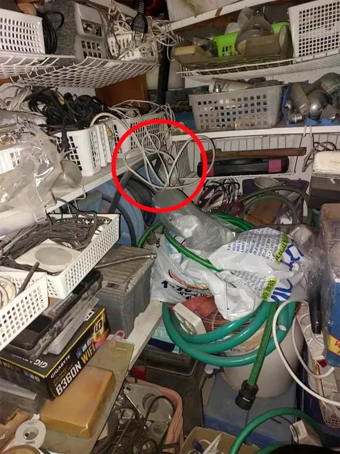 Iluzie optică virală | Găsiți pisica ascunsă în această fotografie! Geniile o fac în 15 secunde