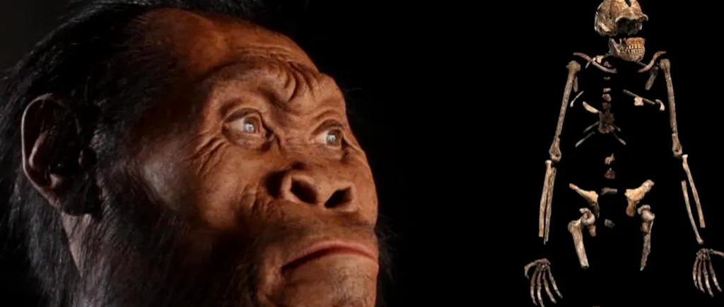 Descoperire de proporții în Africa. Ce secrete ascunde Homo naledi, unul din strămoșii omului