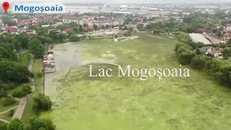 VIDEO | Hubert Thuma, despre acțiunea de ecologizare a lacului Mogoșoaia: ”Noi facem proiecte cu și pentru oameni! Este simplu!” (P)