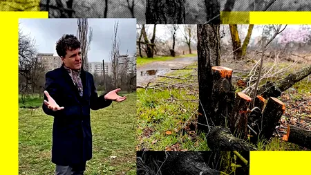 Robert Negoiță îl acuză pe Nicușor Dan că-i defrișează Sectorul de dragul termoficării. Primarul de la 3 nu a avut timp să salveze arborii