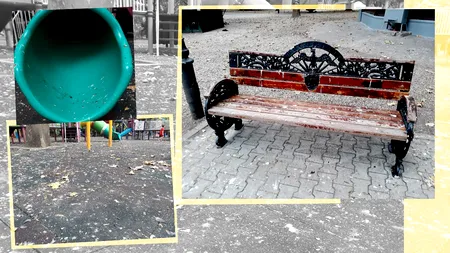 FOTO & VIDEO | Parcul Cișmigiu s-a transformat din nou în focar de infecție. Grădina de „sub” biroul lui Nicușor Dan este mizerabilă