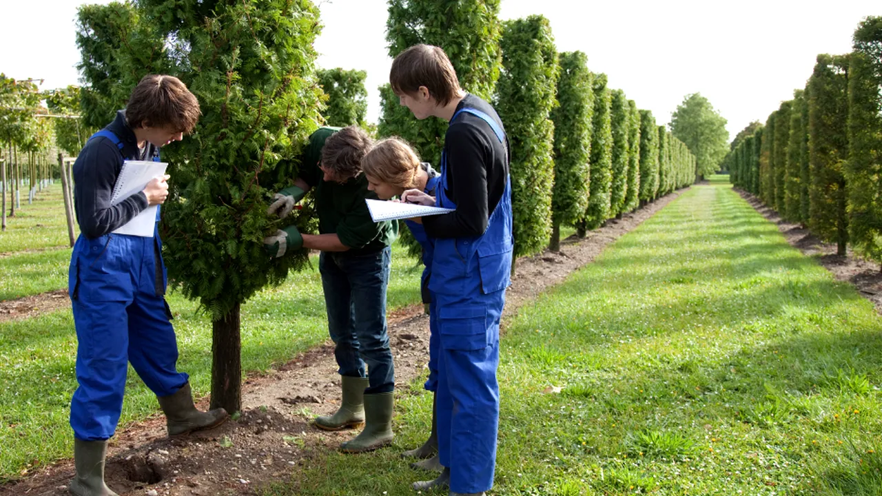 ÎNVĂȚĂMÂNT: Ministerul Agriculturii alocă, în acest an, 15 milioane lei pentru a finanța 56 licee agricole. În 20 de ani, numărul lor s-a redus la jumătate