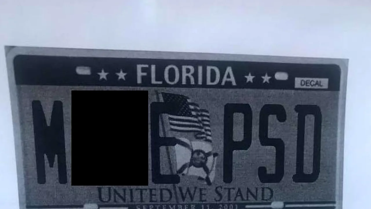 Inspirat de Răzvan Ștefănescu, un român din SUA și-a comandat numerele M..E PSD