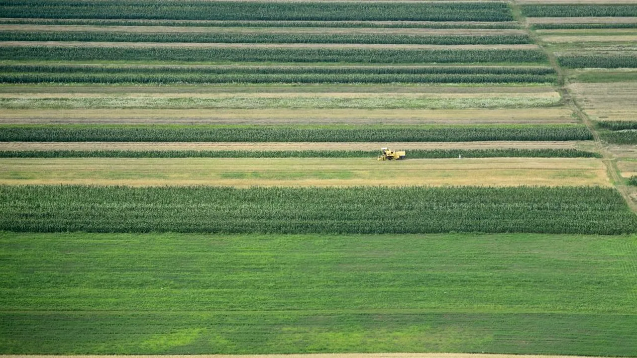 Câte milioane de hectare a înregistrat ANCPI în 2019. Suprafețele fac obiectul subvențiilor APIA!