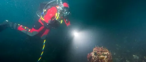 O descoperire extraordinară, făcută acum în Arhipelagul Arctic, rezolvă un mister vechi de 170 de ani. Imagini spectaculoase de arhivă