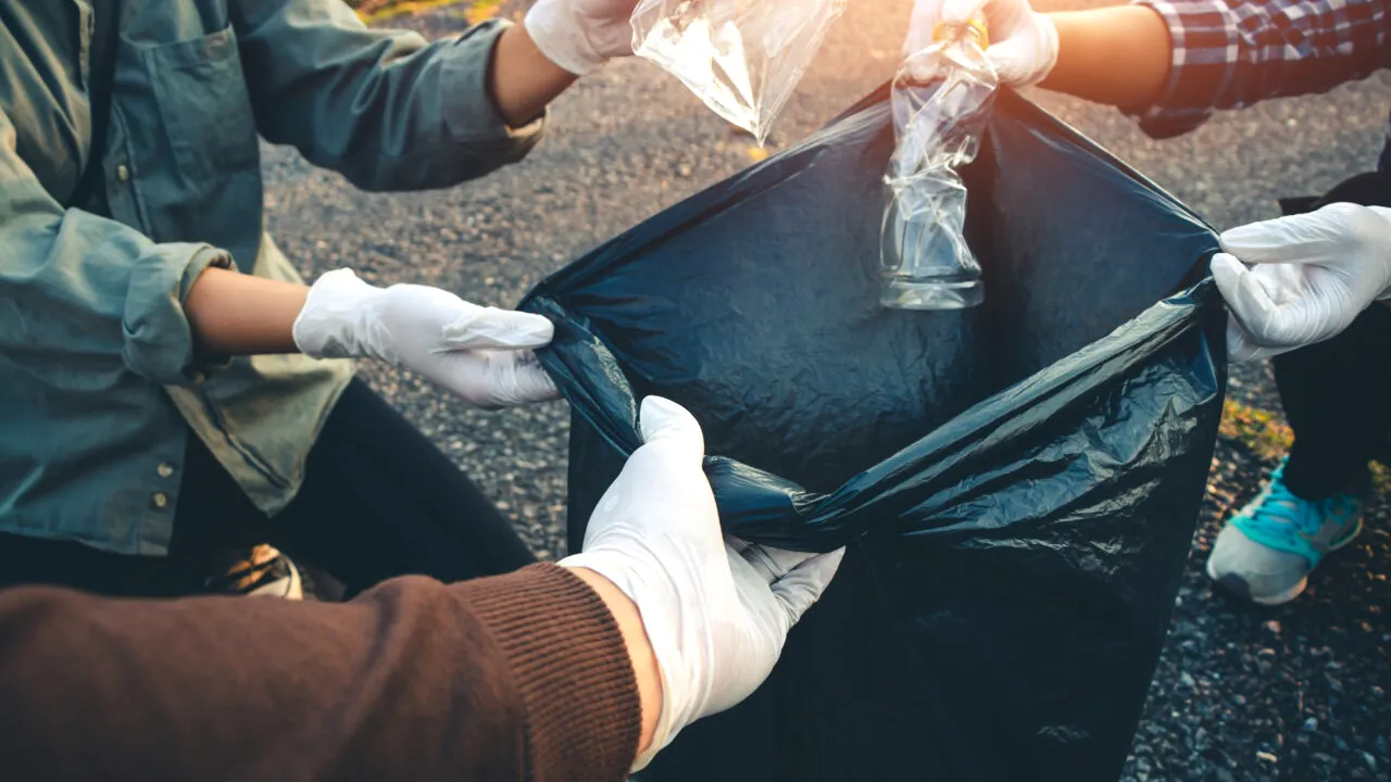 „Ziua de Curățenie Națională”, propusă de mai mulți parlamentari. Când ar urma să aibă loc