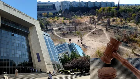 Procesul în care Prefectura București cere anularea retrocedării celor 12 hectare din Parcul IOR bate pasul pe loc. Instanța amână din nou judecata