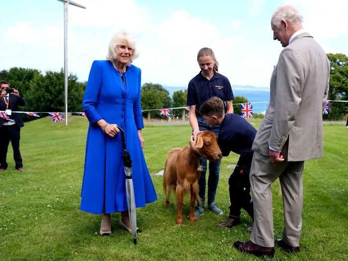 Sursa foto: Profimedia images