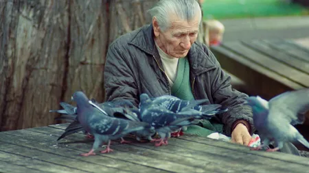 Dosar penal pentru abuz în serviciu deschis la AZILUL groazei din Pitești după ce trei bătrâni au fost găsiți trăind în condiții mizere într-un subsol