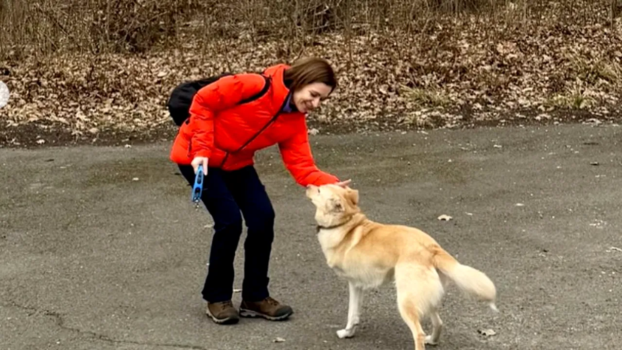 Maia Sandu, la plimbare cu Codruț, „prietenul buclucaș” care l-a MUȘCAT pe președintele Austriei