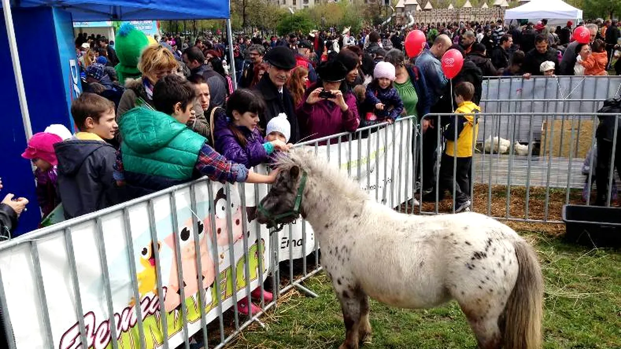 Ce se întâmplă la FERMA ANIMALELOR în NOAPTEA MUZEELOR 2014