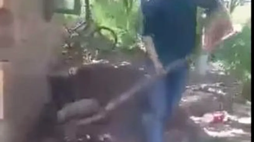 VIDEO. Cruzime de neimaginat. Doi copii au ucis un pui de cățel, sub ochii unor adulți, cu o cazma