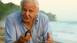 Naturalistul britanic David Attenborough, făcut „Sir” de Regina Elisabeta a II-a, împlinește 100 de ani. De ce este supranumit „vocea naturii”