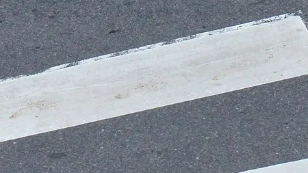 Și-au făcut trecere de pietoni CU BIDINEAUA. Marcaj inedit pe drumul județean ce trece prin Vorona, Botoșani