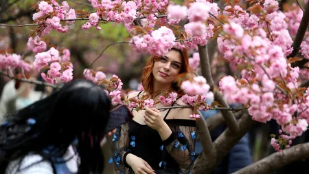 „Zambilica” și „Micșunel” își serbează onomastica de Florii. Câți români au prenume de flori