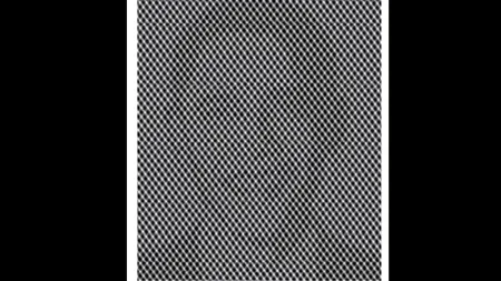 Testul IQ de luni | Doar geniile răspund corect: Ce bărbat celebru se ascunde în această iluzie optică?