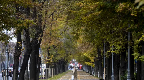 RELAXARE. O țară europeană cu o situație ca a României vrea să deschidă  parcurile de luni