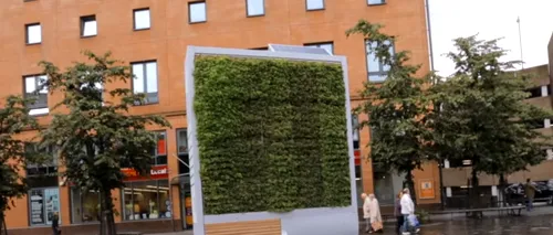 Primăria Brașov vrea să instaleze copaci inteligenți în oraș. Cum arată și ce rol vor avea