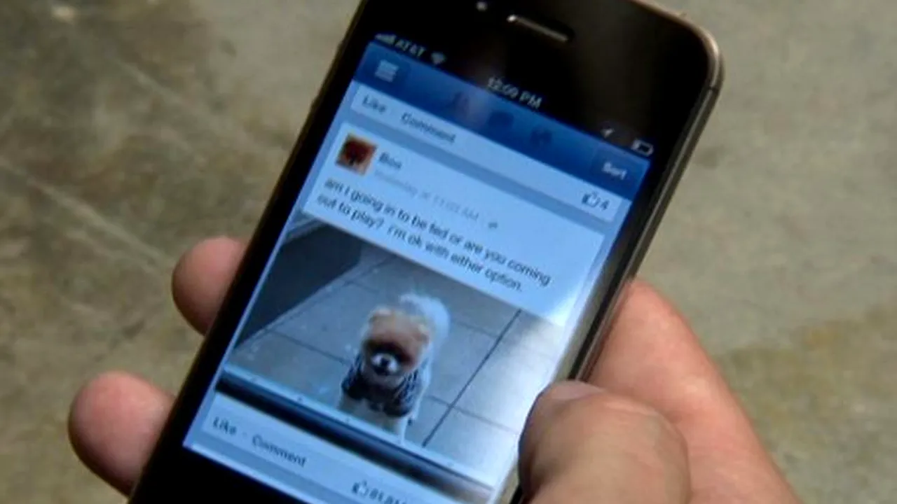 Facebook va rula înregistrări video fără a-i întreba pe utilizatori dacă doresc asta