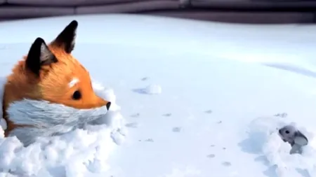 Cea mai frumoasă reclamă de Crăciun. Povestea șoricelului și a vulpiței transmite un mesaj emoționant