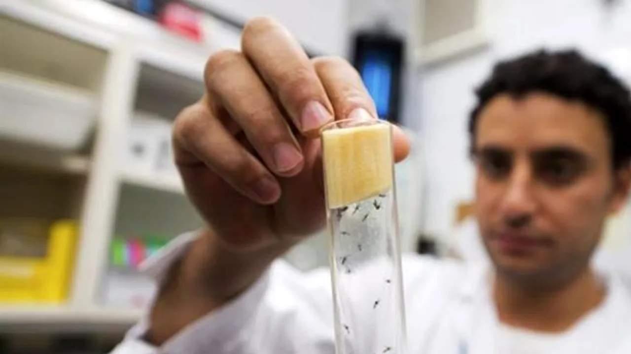 Primul caz de transmitere pe cale sexuală a virusului Zika, înregistrat în Franța