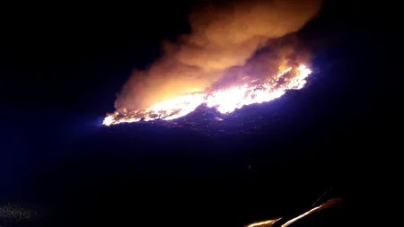 INCENDIU puternic la groapa de gunoi a orașului Arad