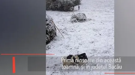 Prima NINSOARE din județul Bacău, surprinsă de localnici