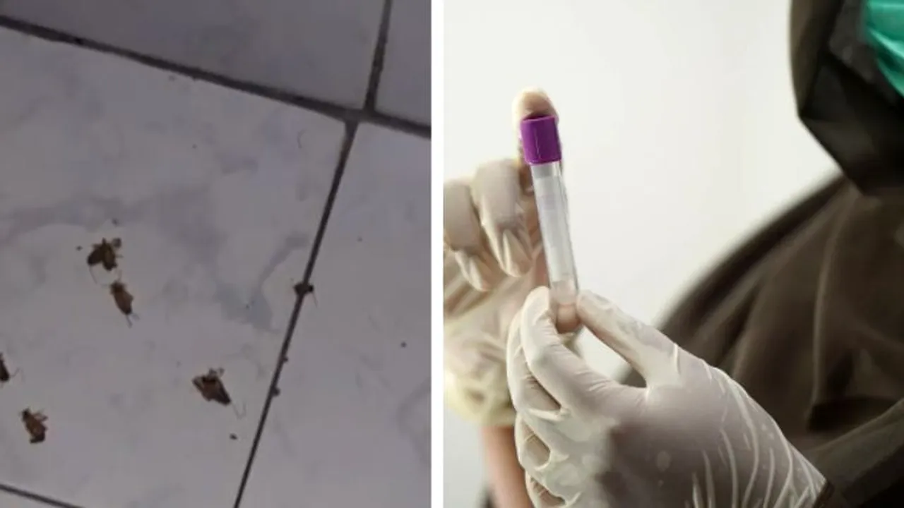 Mărturii de groază dintr-un spital din România: „Îmi băgam hârtie igienică în ureche, să nu mă trezesc cu vreun gândac”