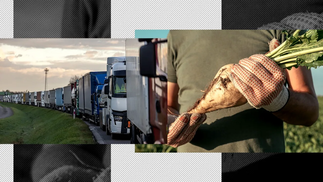 Cultivatorii de sfeclă cer ajutorul Guvernului în cazul importurilor MASCATE de zahăr din Ucraina, prin Ungaria și Bulgaria. „Dorim să oprim asta”