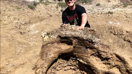 Descoperire uluitoare făcută de un student de 23 de ani. Are 65 de milioane de ani