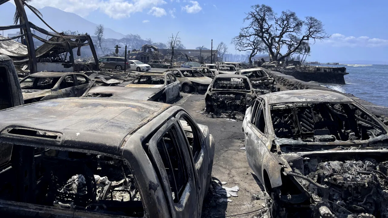 55 persoane au murit în incendiul de vegetație din Maui, Hawaii. Oamenii au sărit în apă să se salveze