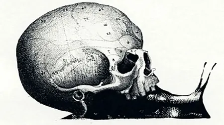 Test psihologic | Primul lucru pe care-l vezi în poza asta îți spune care e job-ul tău ideal