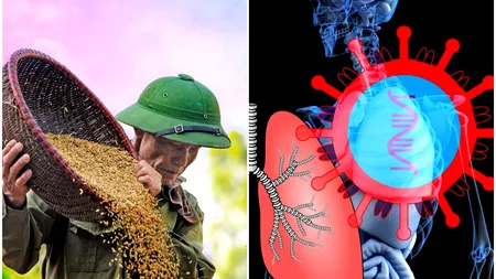 EFECTELE #CORONACRIZEI. Fermierii cer ajutor Guvernului. Avem lista cu măsuri care trebuie întreprinse pentru limitarea impactului negativ al COVID-19