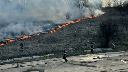 Primăria Capitalei explică de ce nu a intervenit la incendiul din Delta Văcărești. „Înțelegem și regretăm profund impactul asupra biodiversității”