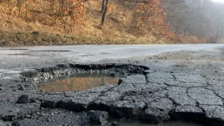 România lucrului bine făcut. Un cal a căzut într-o groapă apărută în mijlocul drumului! S-a întâmplat lângă București (Galerie FOTO)