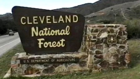 S-au rătăcit în pădure, iar acum riscă pedeapsa cu închisoarea. Ce făceau un tânăr și prietena lui într-un parc național