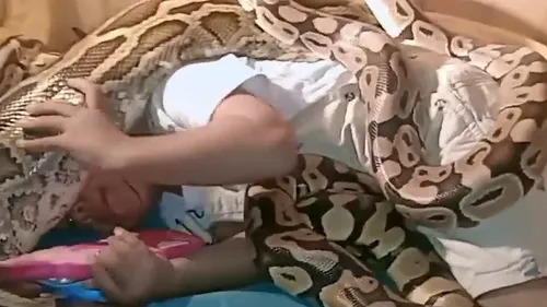 Prințesa animalelor: O fetiță de 3 ani se înțelege atât de bine cu animalele încât se uită la desene animate acoperită în șerpi uriași - VIDEO 
