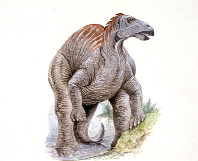 Telmatosaurus. Sursa Foto: Profimedia 