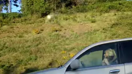 Ce făcea o șoferiță în timp ce conducea cu 90 km/h. Polițiștii au crezut că nu văd bine