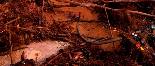 Amazon Gold, documentarul care conturează problema mineritului ilegal pentru aur. Regizorul său, Reuben Aaronson, vine la Festivalul Pelicam, de la Tulcea