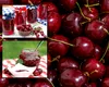 Rețetă de gem de vișine fără zahăr cu doar câteva ingrediente. Cum să prepari un desert delicios