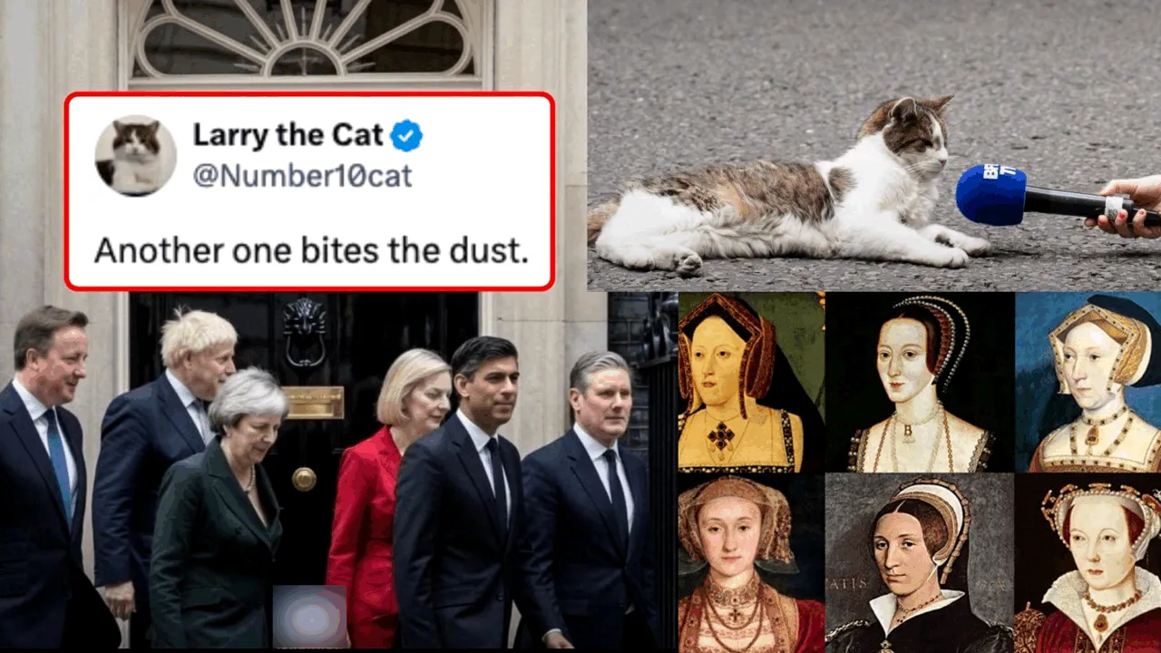 Henry al VIII-lea a avut 6 neveste, iar Larry Motanul a avut 6 premieri. 10 Downing Street, reședința permanentă a celei mai faimoase pisici din lume