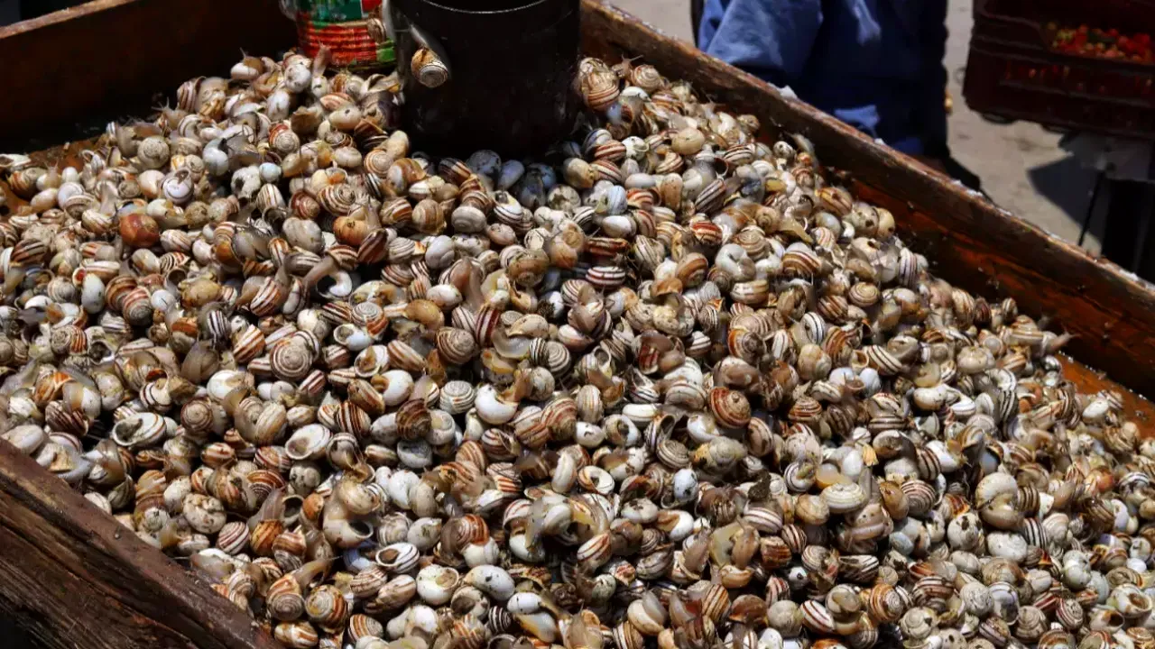 Țara în care sărăcia și șomajul obligă populația la o DIETĂ SĂNĂTOASĂ. Ce poate înlocui carnea de oaie sau capră