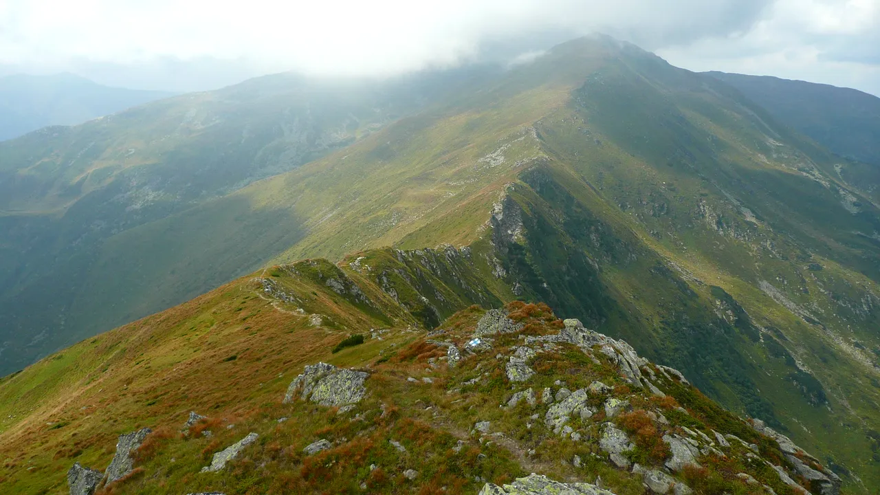 Descoperie macabră în Munții Călimani. Ultima oară a fost văzut pe 1 decembrie