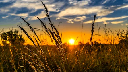 Prognoza meteo pentru următoarele două săptămâni. Cum va fi vremea la începutul lunii iunie