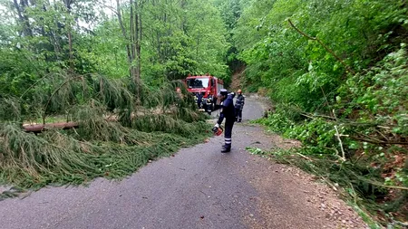 UPDATE | Cod galben de ploi și grindină în mai multe județe din România. Copaci doborâți de vântul puternic, în Cluj și Vrancea (FOTO)