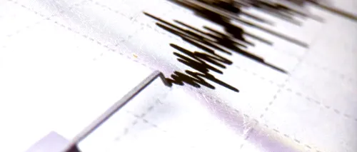 Un cutremur de suprafață a avut loc, vineri, în România