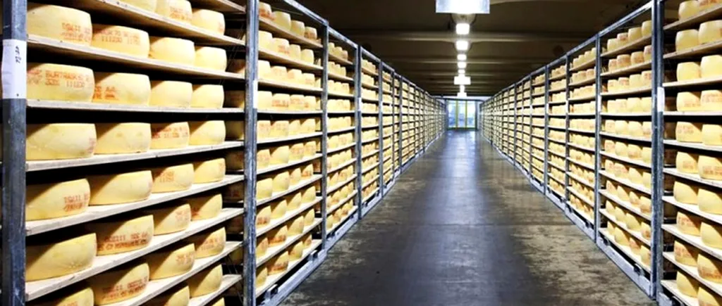 Cea mai apreciată brânză din lume a apărut dintr-o greșeală și are un secret ciudat pe care nu îl poate explica nimeni