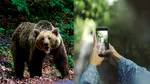 Turistă spaniolă atacată de urs în apropierea hotelului Posada, Argeș. O fotografie o putea costa viața