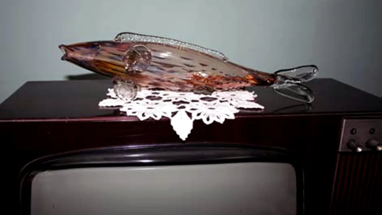 Spiciul peştilor de pe televizor